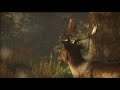 关于 TheHunter: Call of the Wild  Playstation 4  的游戏实况视频