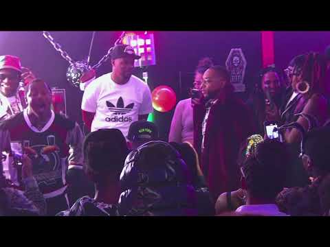 Lavine Stein vs D Money