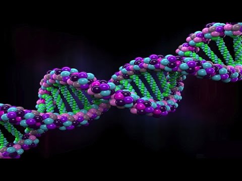25 Insane Trivia About Genetics And The Human Genome