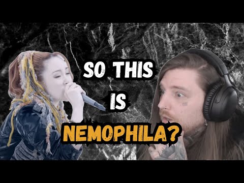 First time hearing Nemophila - Rise // Reaction