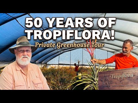 50 Years of Tropiflora: Inside one of the World’s Largest Bromeliad Nurseries with +1MILLION Plants!