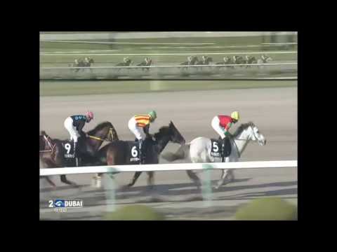 2016.12.11 Betelgeuse Stakes (JPN) - Mitsuba