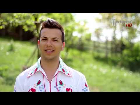 Alex de la Orastie Eu am fost ca vulturu