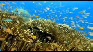 Download lagu penutup siaran TVRI, Tanah Airku mp3 Download lagu penutup siaran TVRI, Tanah Airku mp3