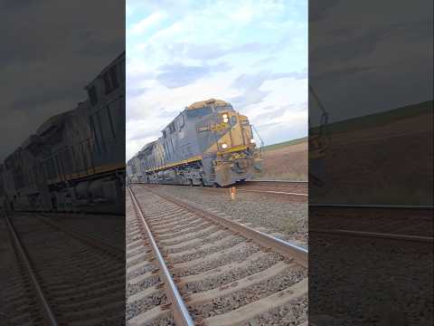 Trem vazio da MRS chegando em Cândido Rodrigues sp #train #shorts