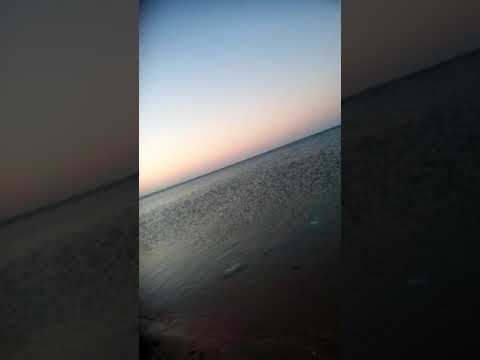 ٨ أغسطس، ٢٠٢٠