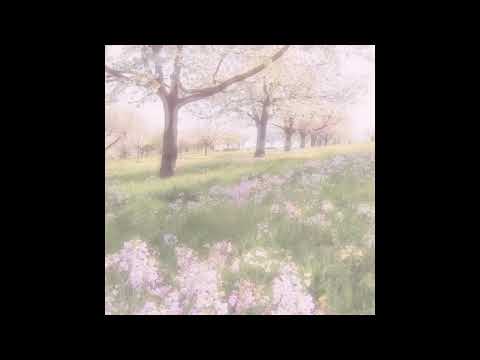 [FREE] mental x blxty x emoplugg type beat "signs"