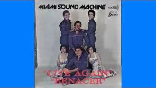 malvina real-Miami sound machine