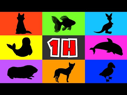 1 GODZINA - Zwierzęta - Zagadki dla dzieci 🐶🐷🐹