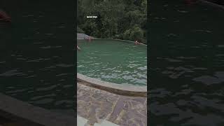 Download lagu KOLAM RENANG KEMBANG LANGIT FOREST KOPI #shorts mp3