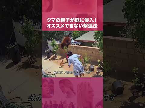 庭からカエルを追い払い、プールに入らないようにするにはどうすればよいでしょうか?  庭園