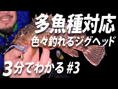 【いろんな魚を狙える】光と波動でアピールしまくるジグヘッド / 《 3分でわかる商品紹介 #３ 》