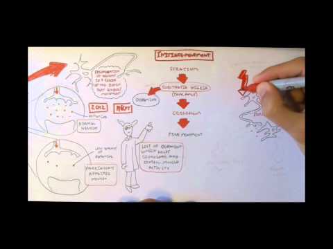 Cancer Introduction I