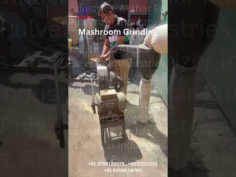 Haldi Grinding Machine