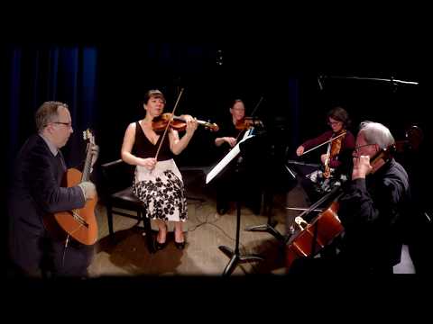 Mary Barry & the Atlantic String Quartet   Southside Hills of Home