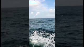 Download lagu story wa Km arzaquna tawur mp3