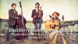Blackberry Bushes String Band - Two Dollar Bill - Live at Council Hill Station - October 13, 2013