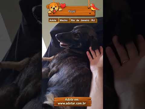 Vídeo de Pepé