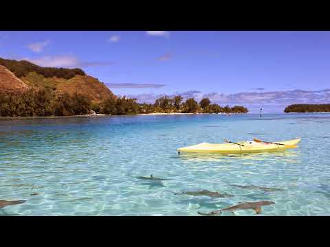 BROTHER  Noe Moreno ; GOD RESTORES