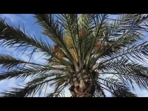 download lagu mp3 mp4 Gacdl, download lagu Gacdl gratis, unduh video klip Download Gacdl Mp3 dan Mp4 Unlimited Gratis