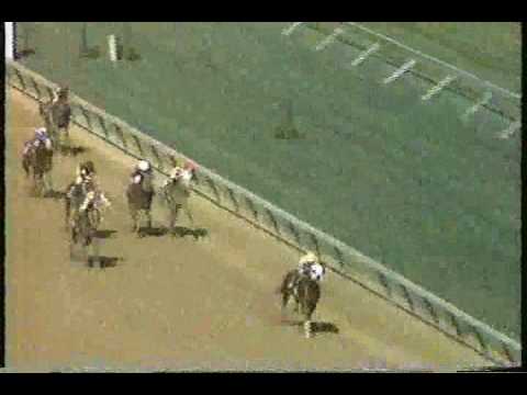 1987 Derby Trial - On The Line