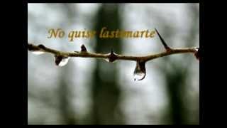 Te Amaré Music Video