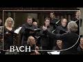 Bach Cantata Halt Im Gedächtnis Jesum Christ BWV 67 Van Veldhoven Netherlands Bach Society
