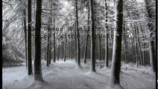 Luke Owens  Moonlight Sonata Trapped Within A Music Box