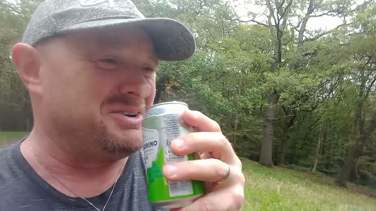 Lord's drinks reviews #252 ~ Sanpellegrino Lemon And Mint Infusion