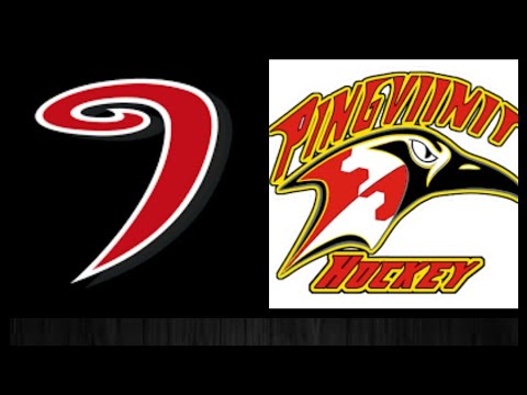 Tammiputki Cup Jyp-Pingviinit AA