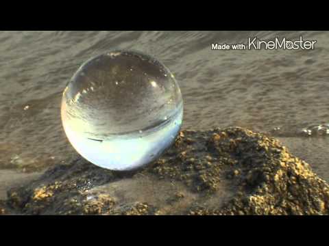 17.04.2015 Abschied der Germanwingsopfer