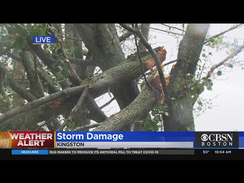 Winds Reach 80 MPH, Bringing Down Trees Around South Shore