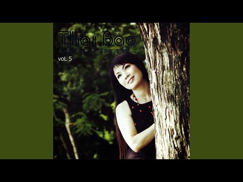 Đợi chờ trong cơn mưa - Thái Bảo