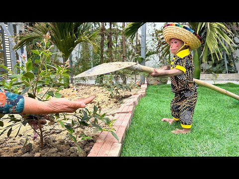 Bibi helps grandma get a shovel to plant ornamental plants