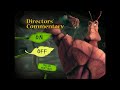 Antz DVD Menu Walkthrough