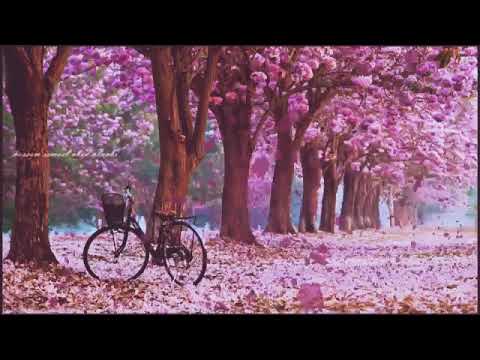 الـحب مشاعر ساميه ماهو للعبث او لتسليه