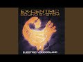 Ex-Centric Dub Show