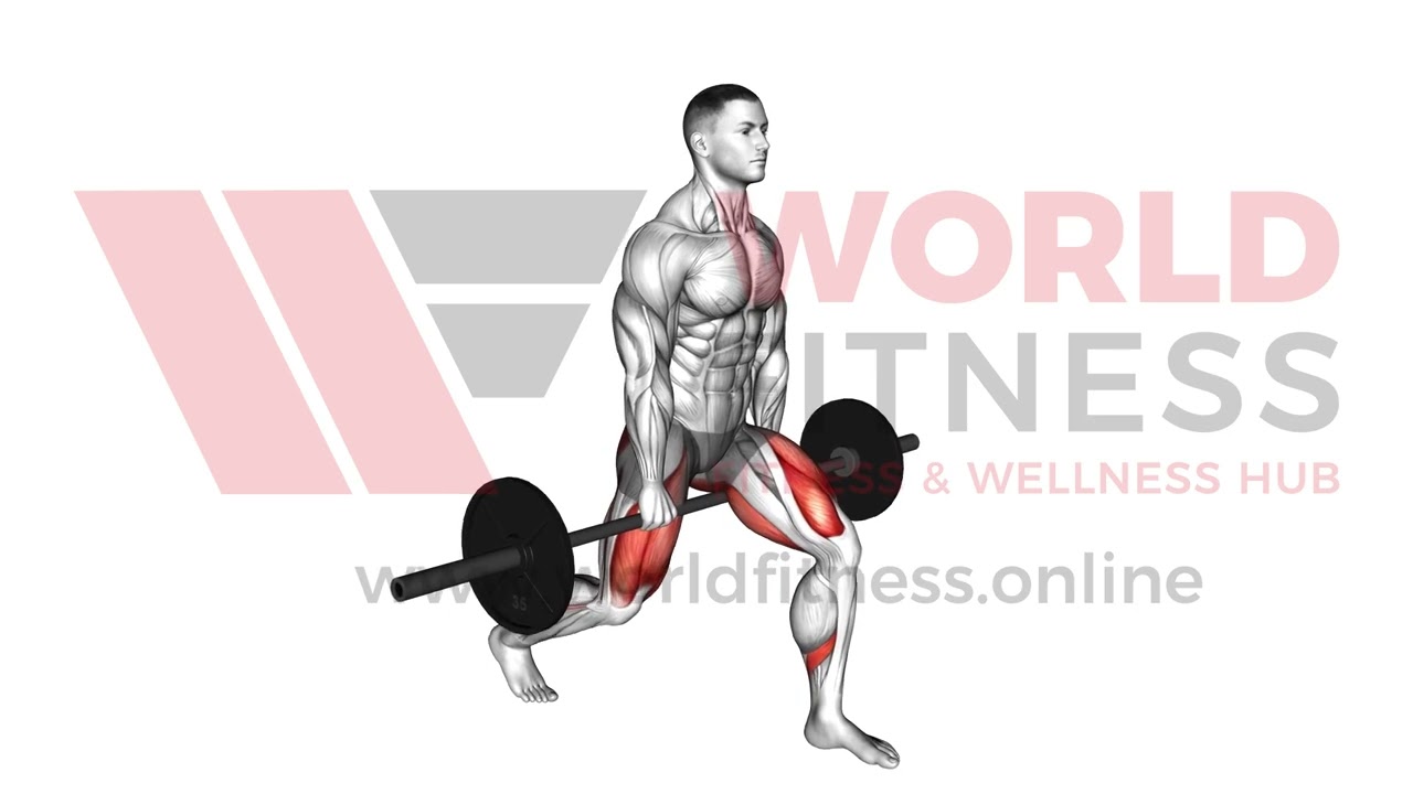 Barbell Split Squat VERSION 2 Demo