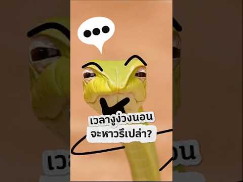 งูไม่ได้หาวเพราะง่วงนอน! #shorts