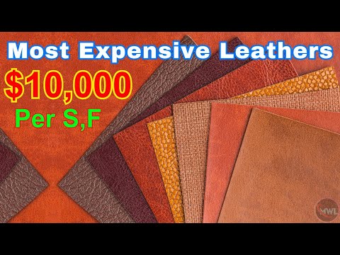 Top 10 Most Expensive Leathers in the World