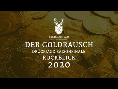 Goldrausch - Rückblick auf das Jagdjahr 2020 - Drückjagd in Sachsen - Anhalt