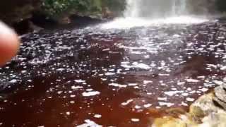 preview picture of video 'Cachoeira Maravilhosa, Rio Preto - MG, Serra do Funil'