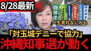 [日本保守党]※対玉城デニーで共闘。もう一生見られないかもしれない。[百田尚樹 有本香 北村晴男]