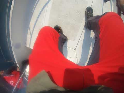 Pesca siluro gigante a casting sul lago d'Iseo.   I have fished a big catfish fish on lake Iseo.