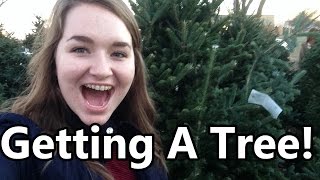 Getting A Tree!!: Vlogmas Day 2