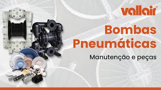 Manutenção e Peças para Bombas Pneumáticas