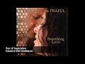 Peruquois & Praful- Sun of Inspiration- album: Breathing Love- music for lovers