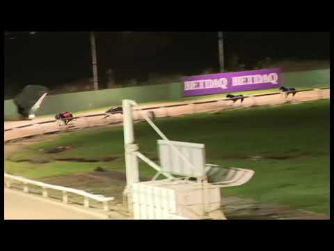 Goldies Hotspur - SIS Yorkshire St Leger Heat 4