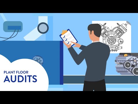 EASE Audits
