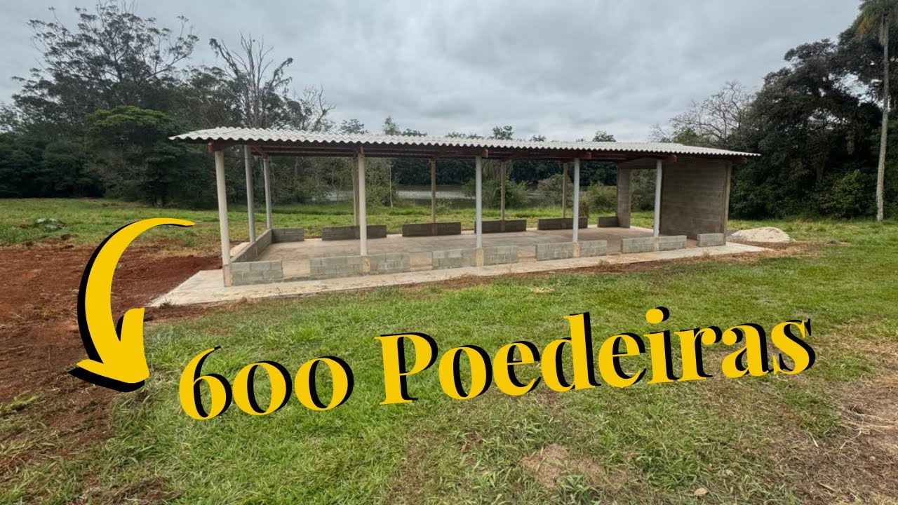 GALPÃO para 600 GALINHAS POEDEIRAS: Construção e Infraestrutura